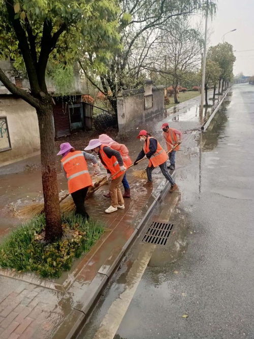 市城管执法局组织开展道路深度清洁作业,助力城市市容环境提升行动