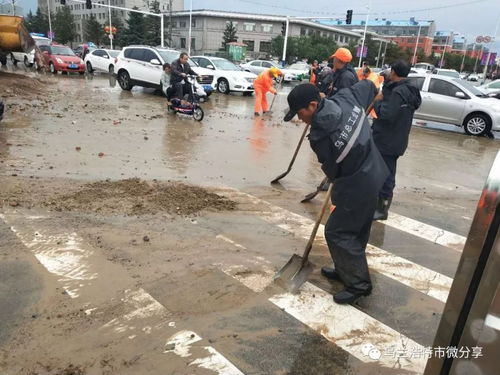 风雨中,感谢你们忙碌的身影