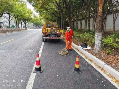 修整一新,闵行这3条道路重新通车!