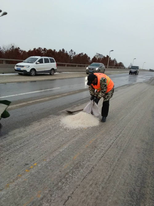 高新区城管局 彻夜奋战除积雪 清理道路保出行