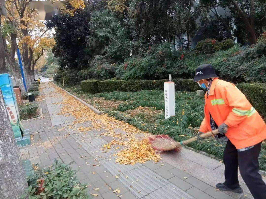 风起落叶多 环卫清扫忙_道路_作业_部门