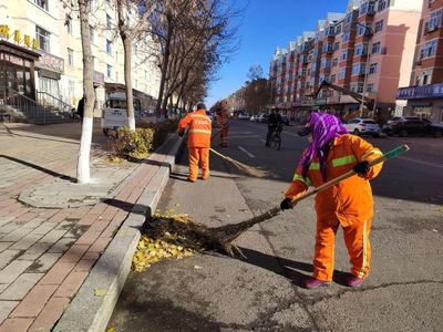 落叶纷飞“不留痕”道路保洁“不打折”