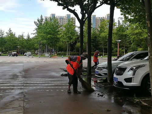 风雨停了,他们依然没有停歇