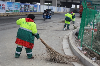 苏州吴中城管多措并举整治南环桥市场周边环境 优化垃圾清运效率