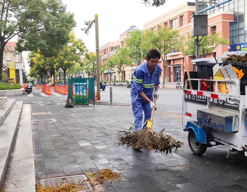城市美容师 无惧“烤”验，守护河道清洁