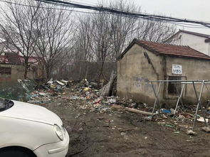 顺河路垃圾成堆无人管，河道保洁责任何在？